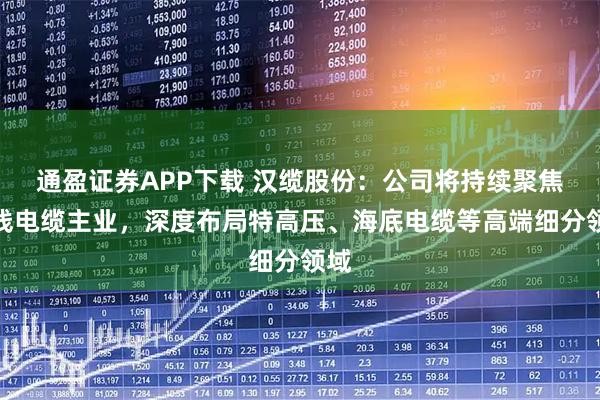 通盈证券APP下载 汉缆股份：公司将持续聚焦电线电缆主业，深度布局特高压、海底电缆等高端细分领域