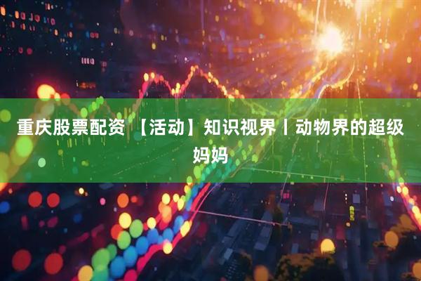 重庆股票配资 【活动】知识视界丨动物界的超级妈妈